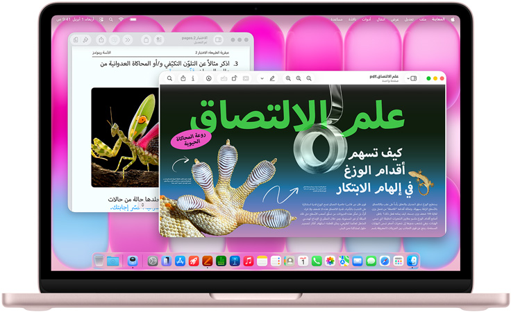 جهاز MacBook Neo، لون وردي هادئ، شاشة تعرض مقالاً عن تقنية المحاكاة الحيوية واختباراً عن موضوع مماثل