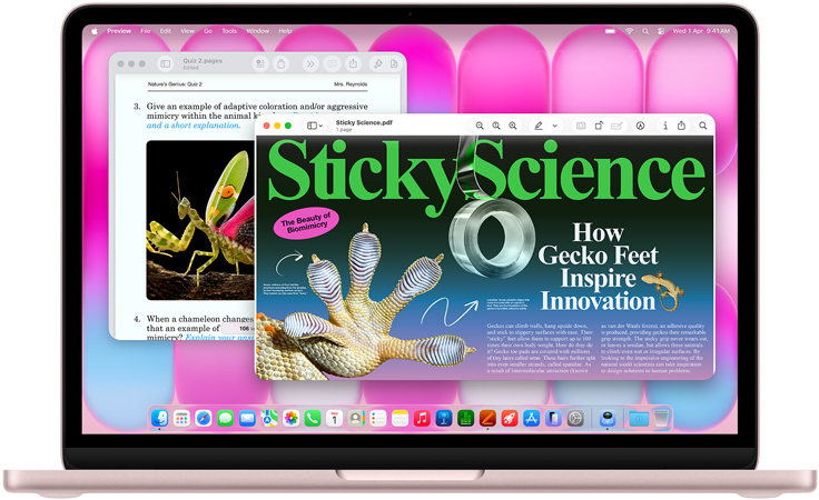MacBook Neo, blush color, screen shows an article on biomimicry and a quiz on similar subject matter