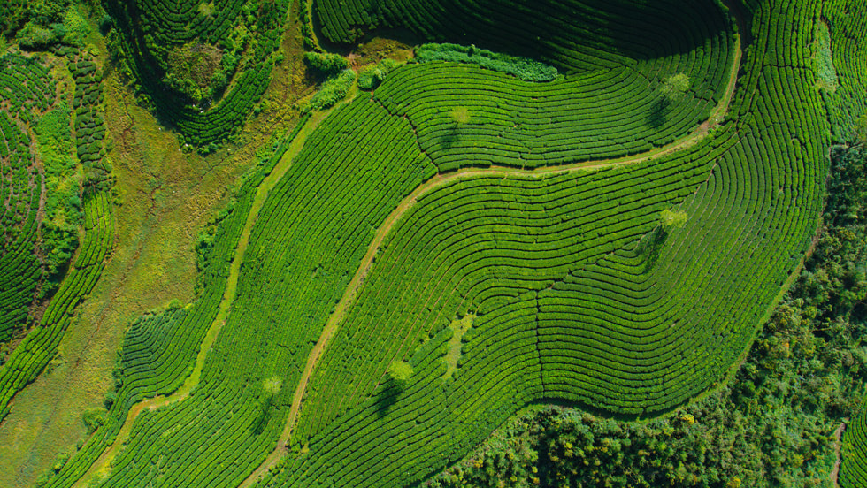 An aerial screen saver for Apple TV.