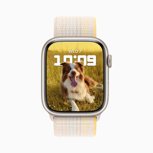Apple Watch Series 8 shows the Portraits watch face with a photo of a dog.