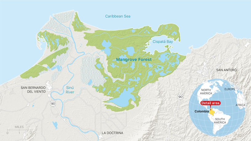 Map of the mangrove forest in the Cispatá marine protected area in Córdoba, Colombia.