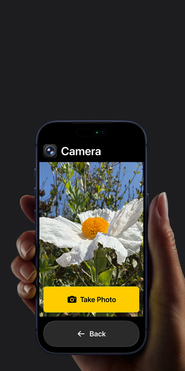 iPhone 17 Pro screen showing simplified Camera app interface with a white flower in the frame, “Take Photo” button, and “Back button below