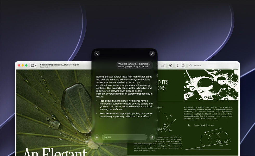 Siri ve Görsel Zeka demosu, Mac ekranında bir kullanıcının PDF’deki konuyla ilgili sorgusu gösteriliyor, Doğadaki diğer süperhidrofobiklik örnekleri nelerdir?, Siri yanıtı